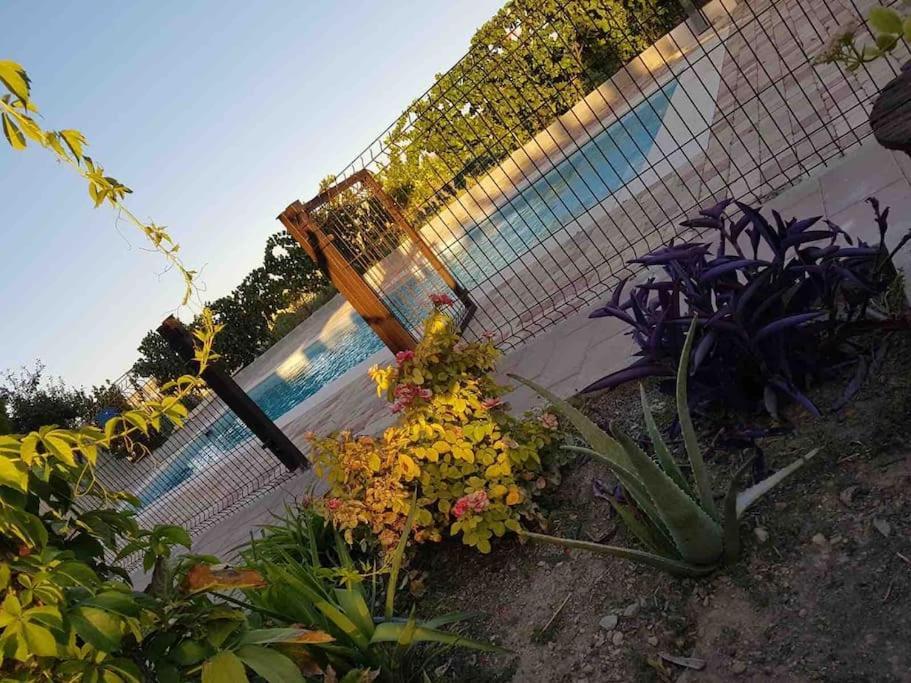 Casa Rural Alma Totanés Esterno foto